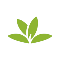 icono de PlantNet Identificación Planta