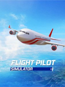imagen de Flight Pilot Simulator 3D 26561