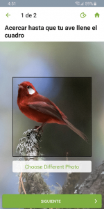 imagen de Merlin Bird ID Por Cornell Lab 27592