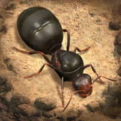 icono de The Ants: Underground Kingdom