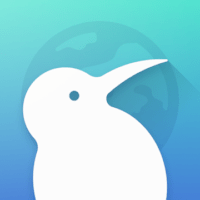 icono de Kiwi Browser