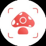 Picture Mushroom icon