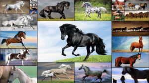 imagen de Cute Horse Jigsaw Puzzles 52555