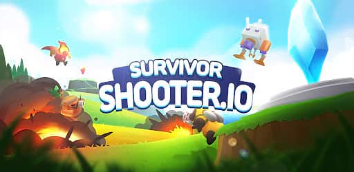 Survivor Shooter.io cover